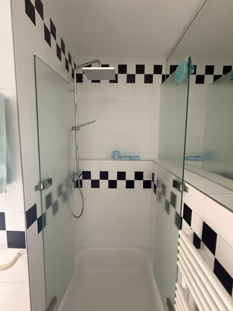 The bathroom has a shower stall with a glass door, showerhead, and tiled walls with black and white checkered pattern. A towel is hanging on the wall next to the mirror. The floor and sink area are also tiled, with blue and white soap dishes on the shelf