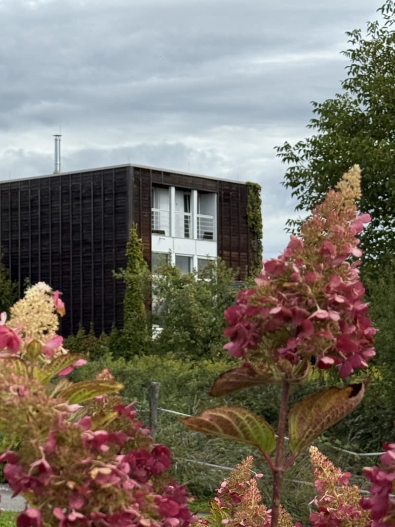 modern building, black exterior, several windows, surrounded by plants and trees