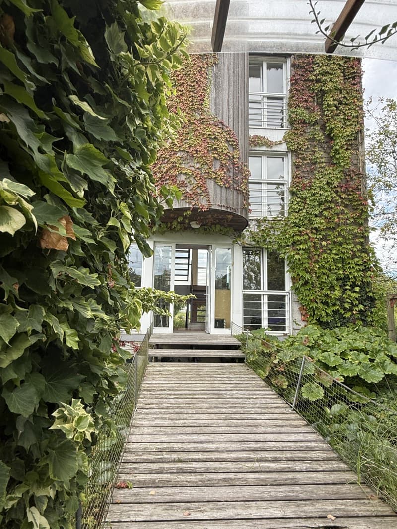 raised house with ivy covering walls, wooden steps, white doors, railings on side, wooden decking
