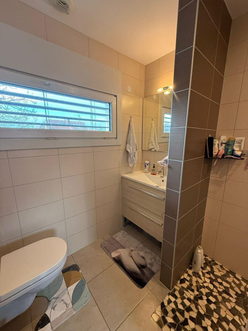 Réf 11164*** St. Louis proche gare/SNCF: Très belle maison env. 85 m² divisé en deux appartements (9)
