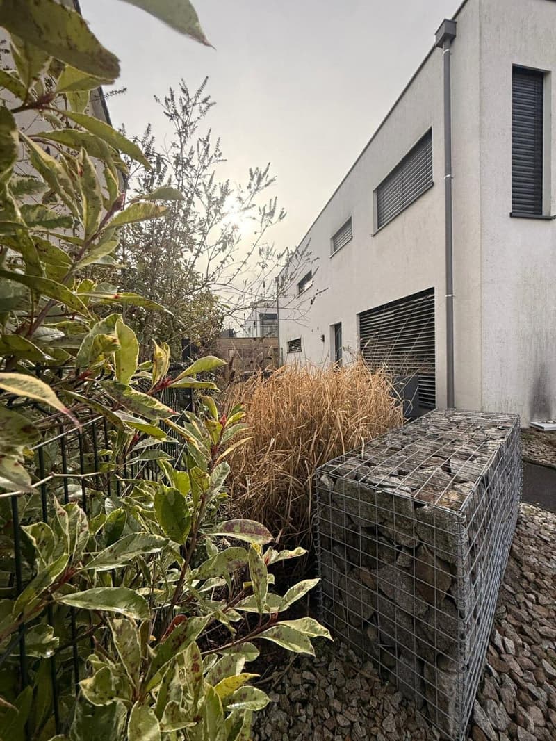 Réf 11164*** St. Louis proche gare/SNCF: Très belle maison env. 85 m² divisé en deux appartements (14)