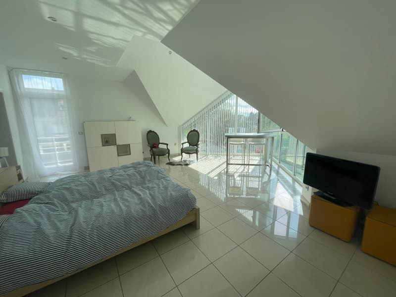Réf: 11170*** Hégenheim limite Buschwiller: Propriété d'exception de haut standing env. 300 m² (9)