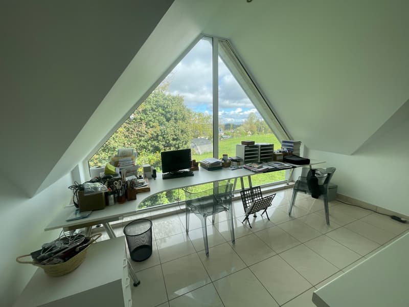 Réf: 11170*** Hégenheim limite Buschwiller: Propriété d'exception de haut standing env. 300 m² (13)