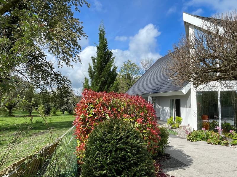 Réf: 11170*** Hégenheim limite Buschwiller: Propriété d'exception de haut standing env. 300 m² (26)