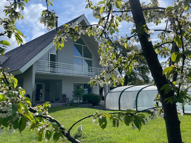 Réf: 11170*** Hégenheim limite Buschwiller: Propriété d'exception de haut standing env. 300 m² (16)