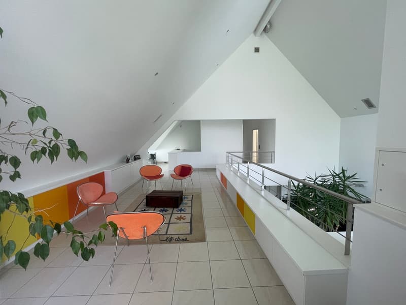 Réf: 11170*** Hégenheim limite Buschwiller: Propriété d'exception de haut standing env. 300 m² (23)