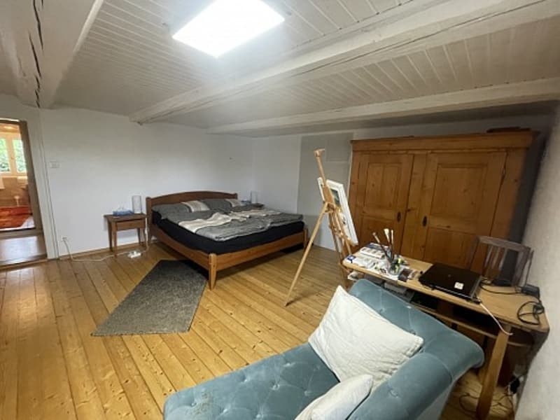 Réf: 11104*** Pfetterhouse, proche Mooslargue: Charmante maison env. 90 m² (9)