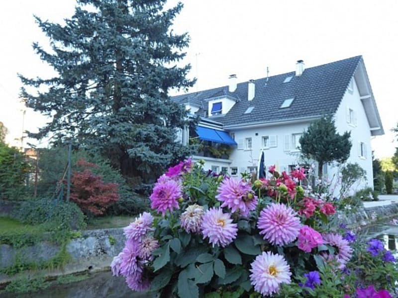 Réf: 11184*** Secteur Leymen / Oltingue: Ensemble d'env. 445 m² divisée en 4 appartements (2 gîtes) (11)