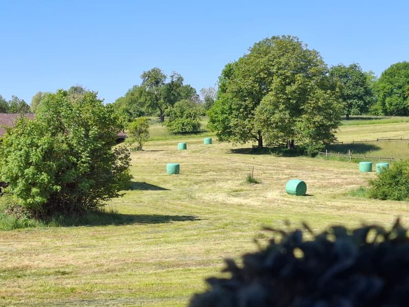 Réf: 11134: Axe Bâle - Altkirch: Propriété env. 155 m² + surface utile env. 113 m² (45)