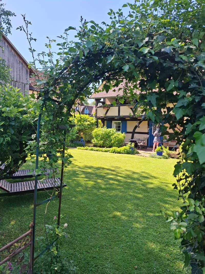 Réf: 11134: Axe Bâle - Altkirch: Propriété env. 155 m² + surface utile env. 113 m² (8)