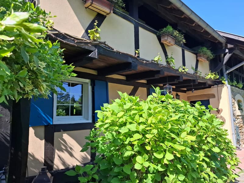 Réf: 11134: Axe Bâle - Altkirch: Propriété env. 155 m² + surface utile env. 113 m² (36)