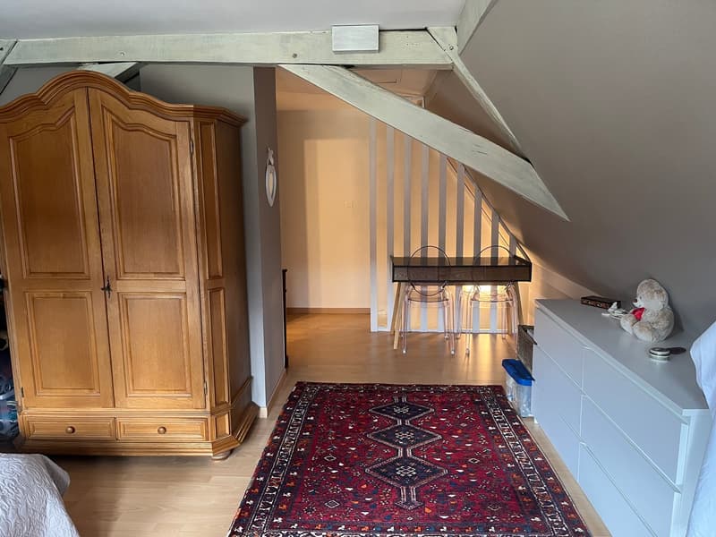 Réf: 11134: Axe Bâle - Altkirch: Propriété env. 155 m² + surface utile env. 113 m² (18)