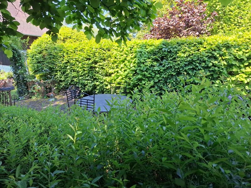 Réf: 11134: Axe Bâle - Altkirch: Propriété env. 155 m² + surface utile env. 113 m² (14)