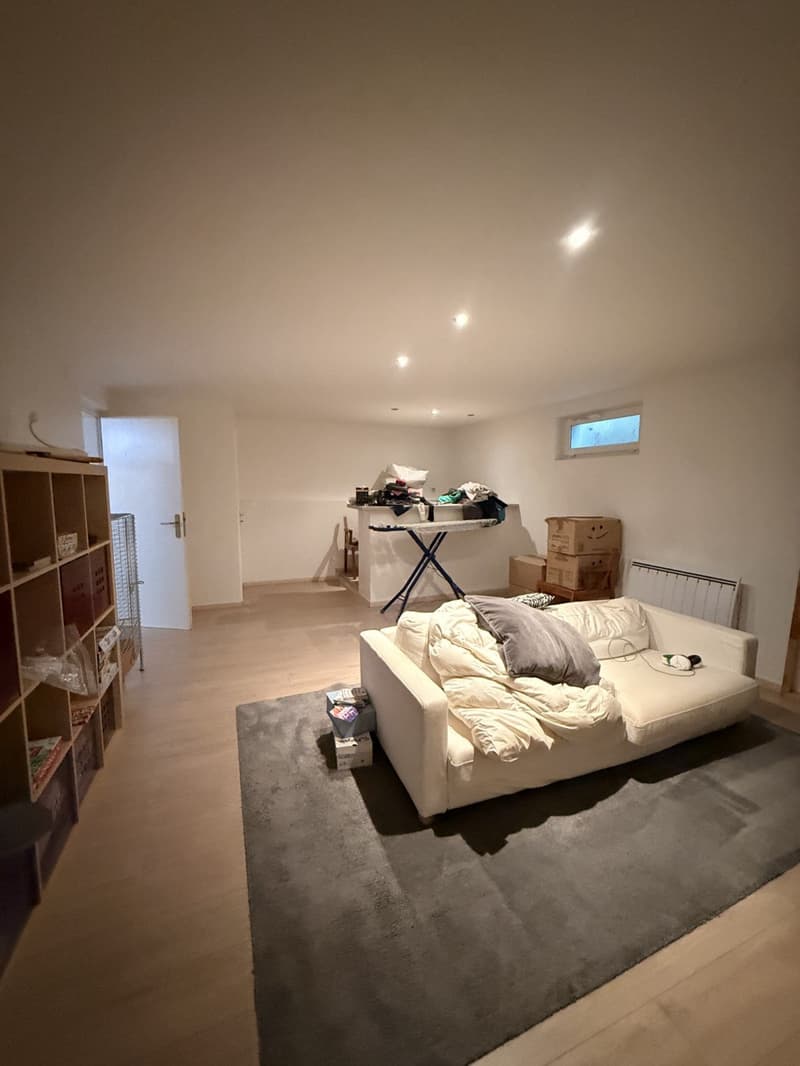 Réf: 11173*** Secteur frontalier: Villa de luxe contemporaine env. 270 m² (14)