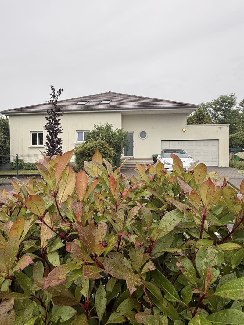 Réf: 11173*** Secteur frontalier: Villa de luxe contemporaine env. 270 m² (8)