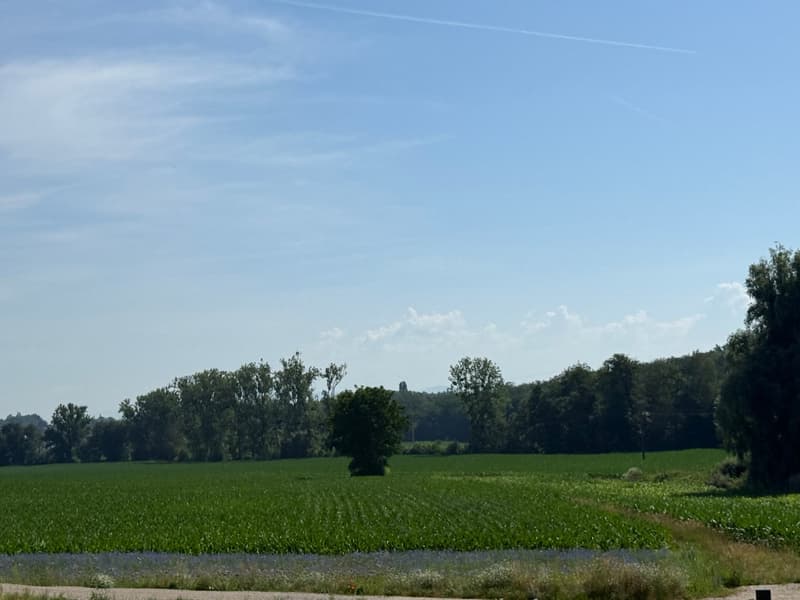 Réf: 11178*** Couronne Sud de Mulhouse: Splendide Villa de classe env. 330 m² (31)