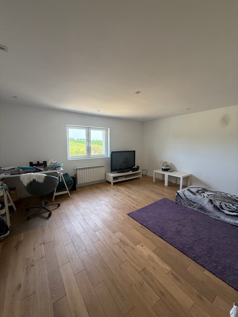 Réf: 11178*** Couronne Sud de Mulhouse: Splendide Villa de classe env. 330 m² (16)