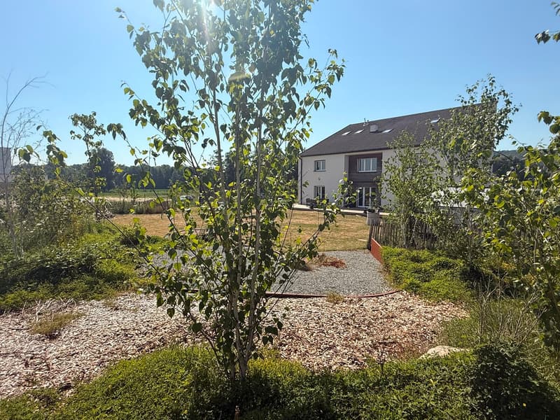 Réf: 11178*** Couronne Sud de Mulhouse: Splendide Villa de classe env. 330 m² (34)