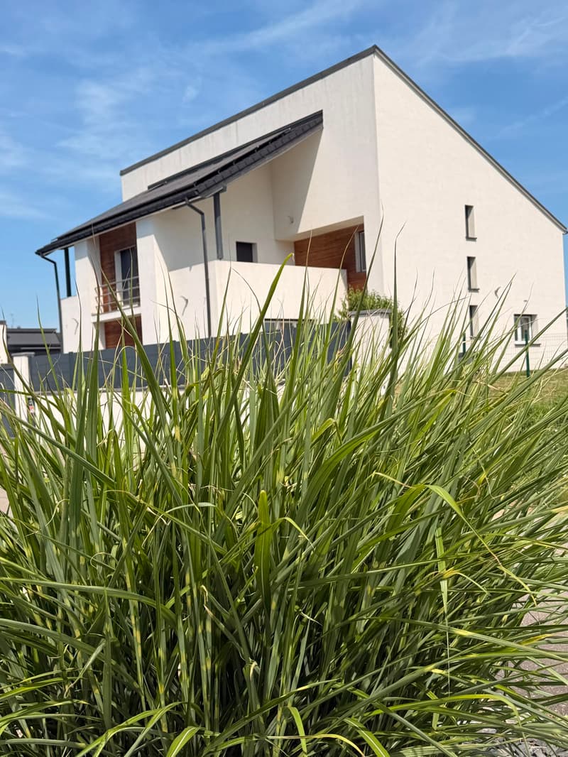 Réf: 11178*** Couronne Sud de Mulhouse: Splendide Villa de classe env. 330 m² (11)