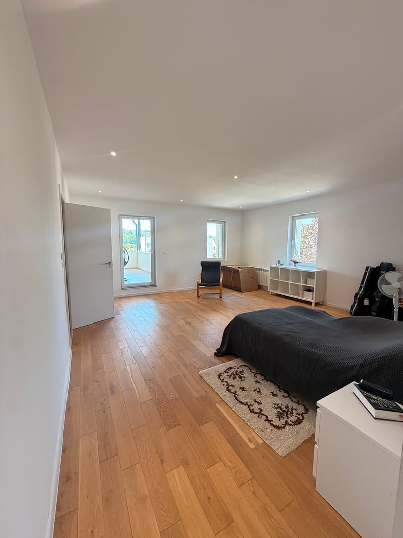 Réf: 11178*** Couronne Sud de Mulhouse: Splendide Villa de classe env. 330 m² (26)
