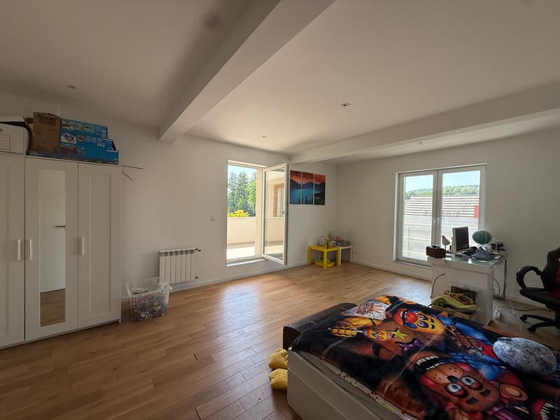 Réf: 11178*** Couronne Sud de Mulhouse: Splendide Villa de classe env. 330 m² (8)