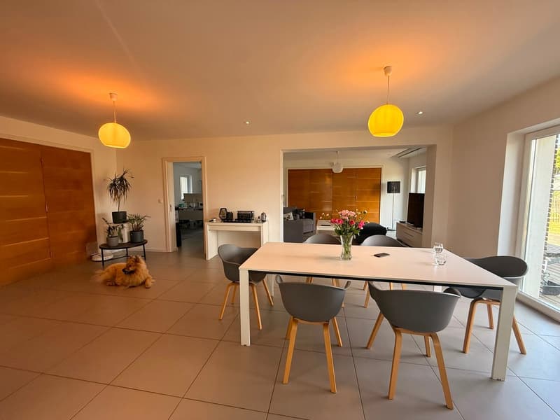 Réf: 11178*** Couronne Sud de Mulhouse: Splendide Villa de classe env. 330 m² (3)
