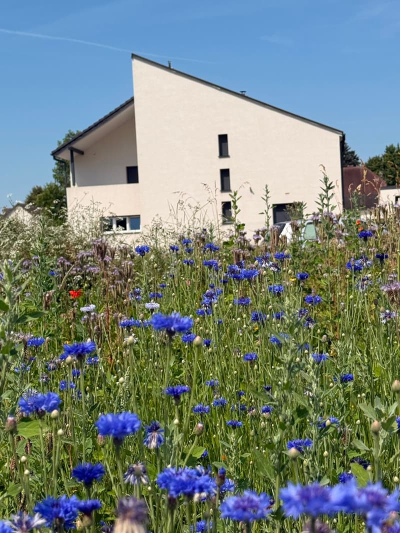 Réf: 11178*** Couronne Sud de Mulhouse: Splendide Villa de classe env. 330 m² (38)
