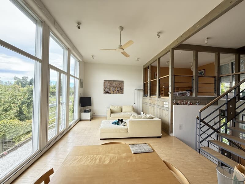 Réf: 11185*** Sect. Attenschwiller / Michelbach: Magnifique maison d'architecte env. 145 m² (2)