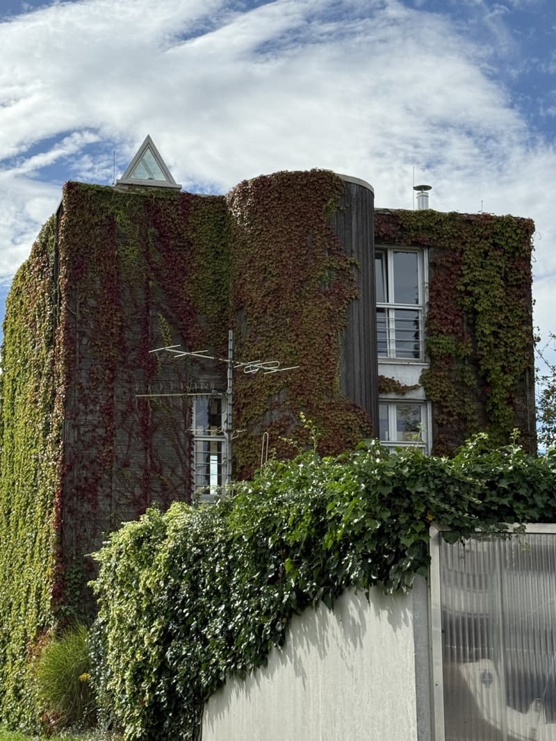 Réf: 11185*** Sect. Attenschwiller / Michelbach: Magnifique maison d'architecte env. 145 m² (19)