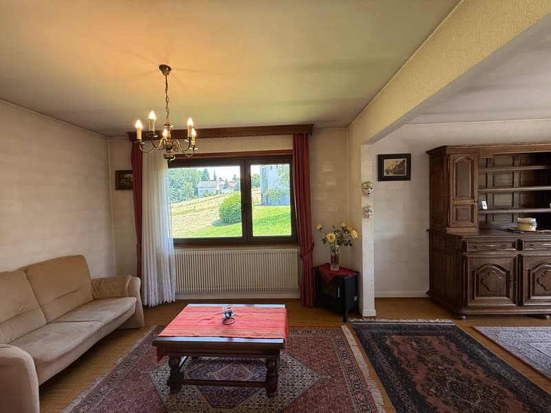 Réf: 11168*** Région frontalière, Sect. Hégenheim / Hagenthal: belle maison conviviale env. 130 m² (2)