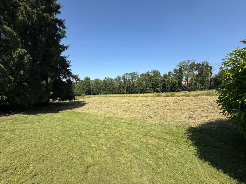 Réf: 11168*** Région frontalière, Sect. Hégenheim / Hagenthal: belle maison conviviale env. 130 m² (16)
