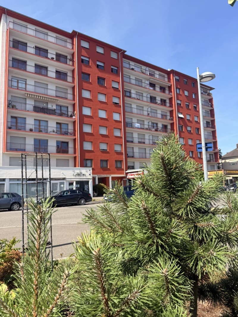 Réf: 11186*** St. Louis frontières Basel: appartement traversant très lumineux de 102 m² (1)