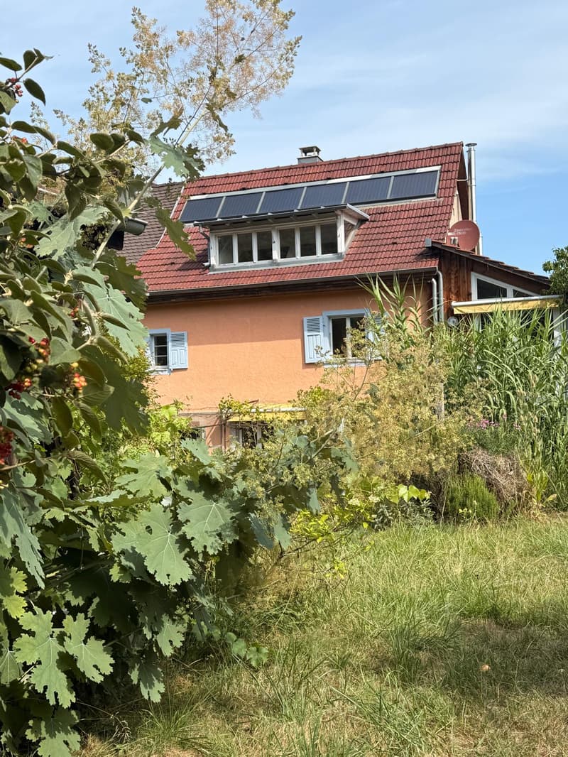 11182 - Prix: 573.000 € - Très belle maison Alsacienne accolée, possibilité deux logements (1)