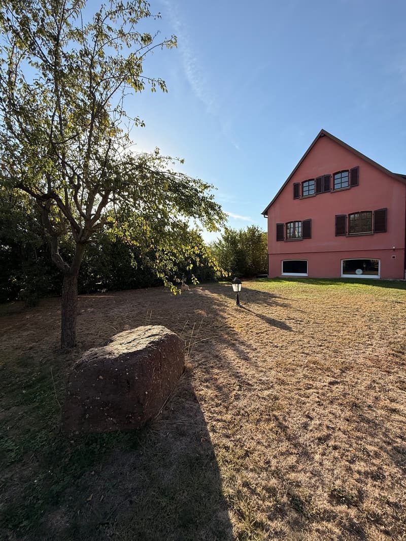 Réf: 11191*** Sect. Houssen / Bennwihr: Propriété bourgeoise env. 230 m² (56)