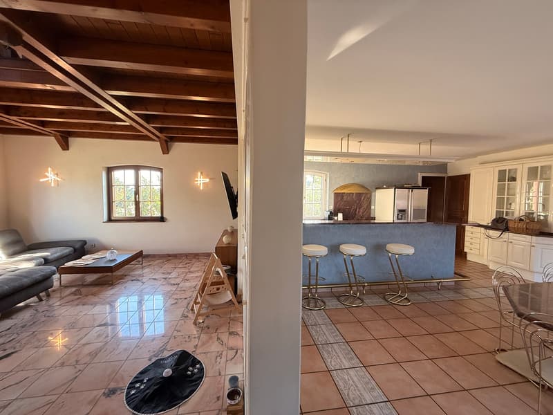 Réf: 11191*** Sect. Houssen / Bennwihr: Propriété bourgeoise env. 230 m² (21)