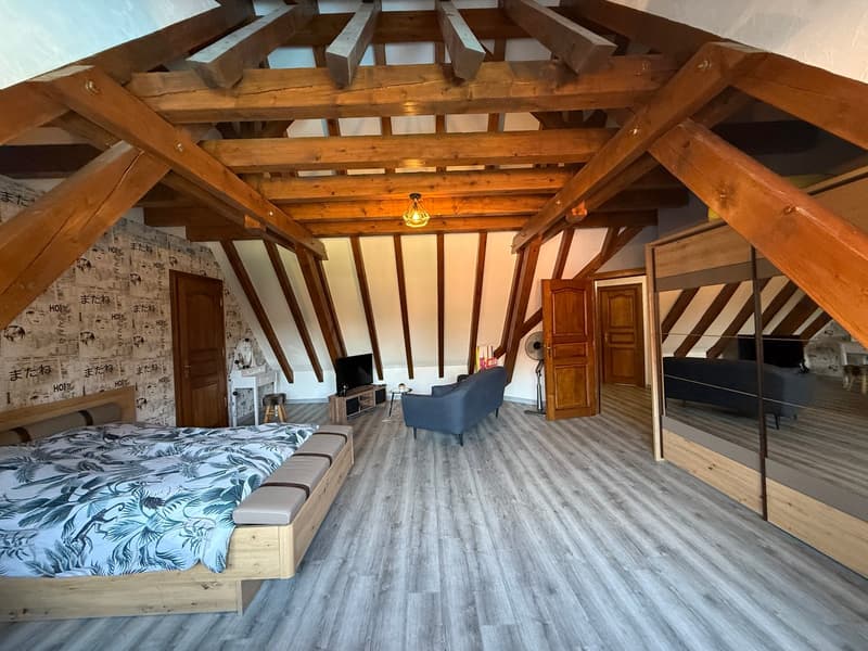 Réf: 11191*** Sect. Houssen / Bennwihr: Propriété bourgeoise env. 230 m² (35)