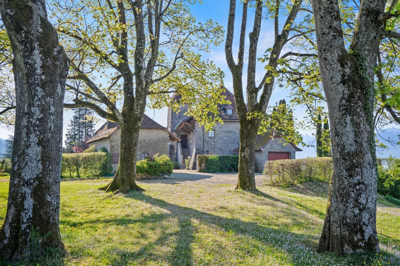 Château de Bochat Authentique et de nature familiale (3)