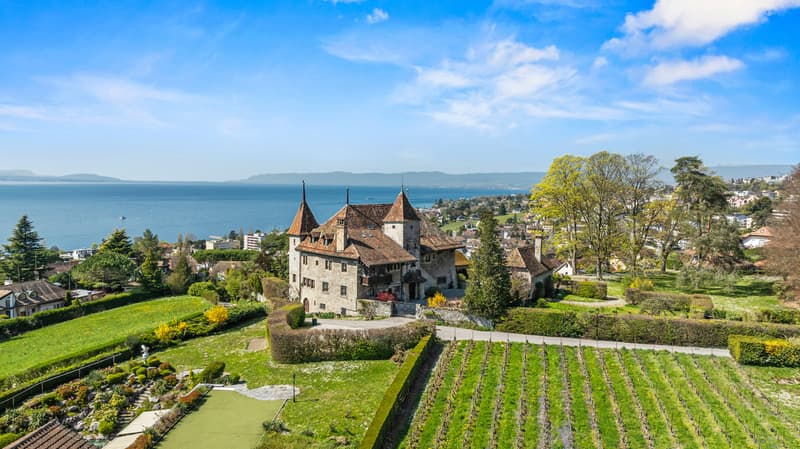 Château de Bochat Authentique et de nature familiale (13)