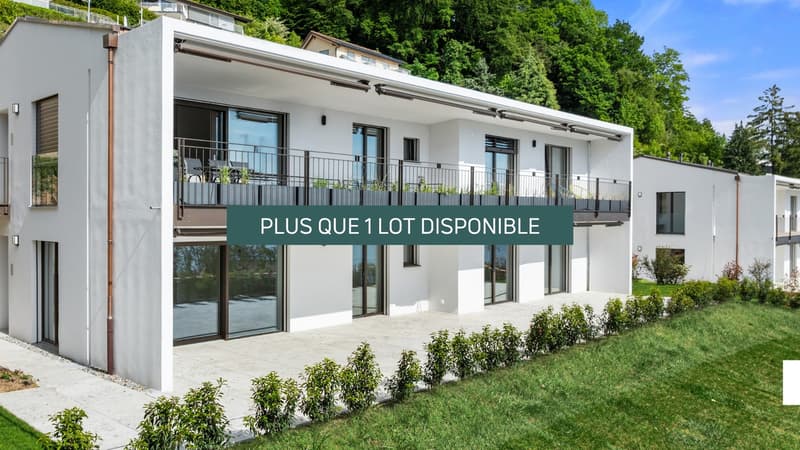 Appartement neuf avec grande terrasse et vue lac (1)