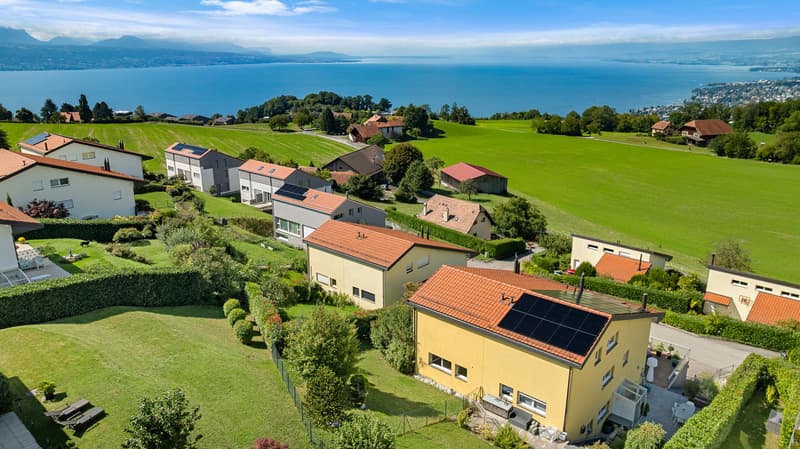 Maison avec cadre de vie exceptionnel (13)
