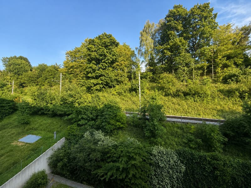 Appartement 3,5 pièces loué à Vevey (3)