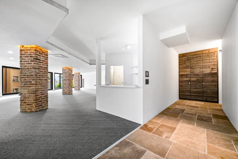 Superbe loft avec possibilité d'activité indépendante (4)