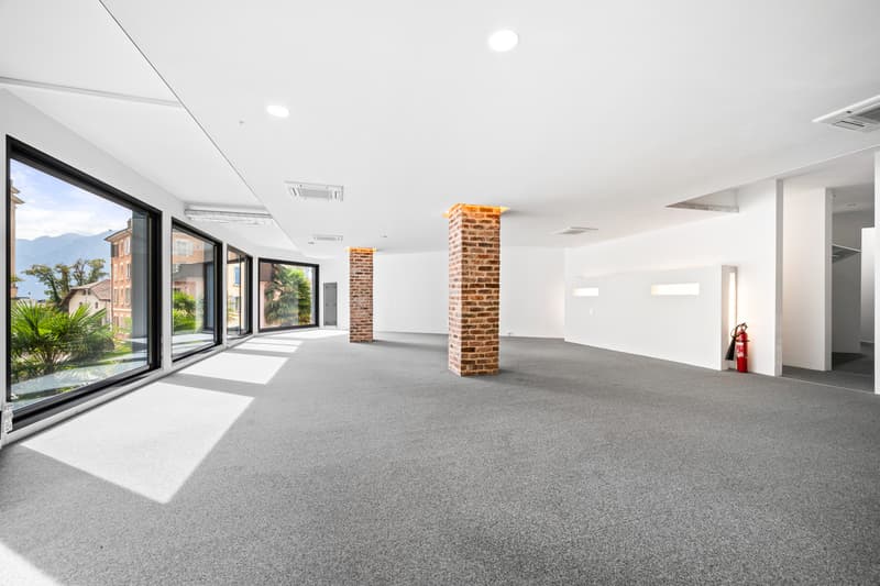 Superbe loft avec possibilité d'activité indépendante (8)