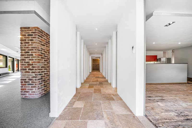 Superbe loft avec possibilité d'activité indépendante (6)