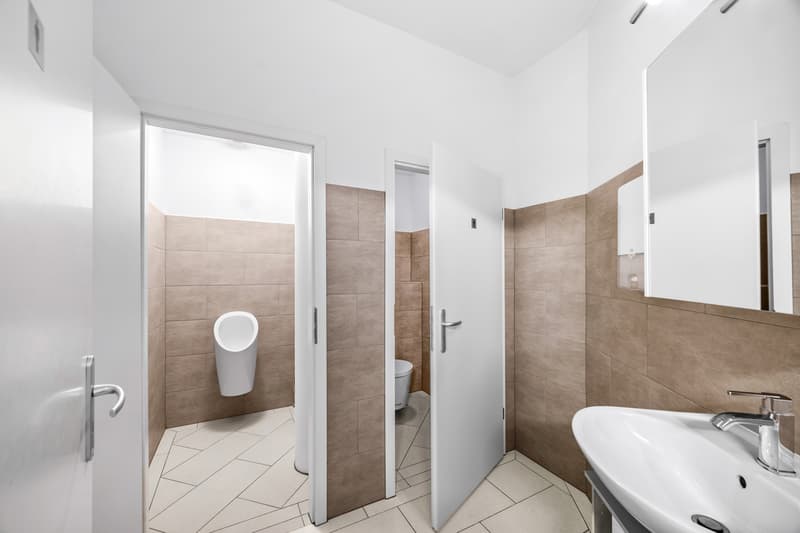 Superbe loft avec possibilité d'activité indépendante (11)