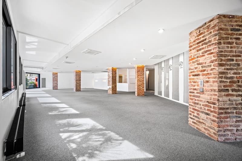 Superbe loft avec possibilité d'activité indépendante (7)