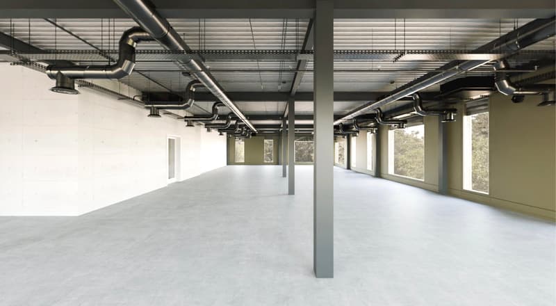 Ateliers, bureaux, locaux de 3720 m2 divisibles dès 400 m2 à construire à louer à Guin - Düdingen (2)
