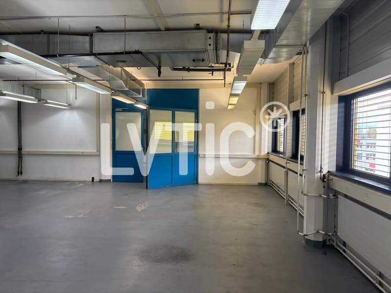 Studio, lab, offices of 480 m2 divisible from 236 m2 in Gland (2)