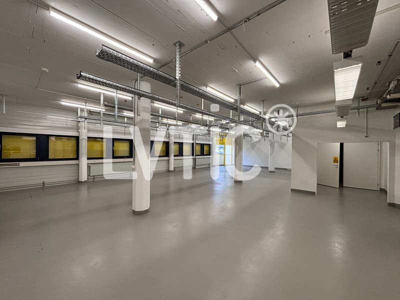 Studio, lab, offices of 480 m2 divisible from 236 m2 in Gland (3)
