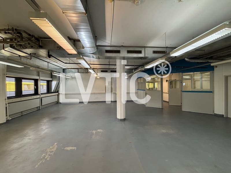 Studio, lab, offices of 480 m2 divisible from 236 m2 in Gland (1)